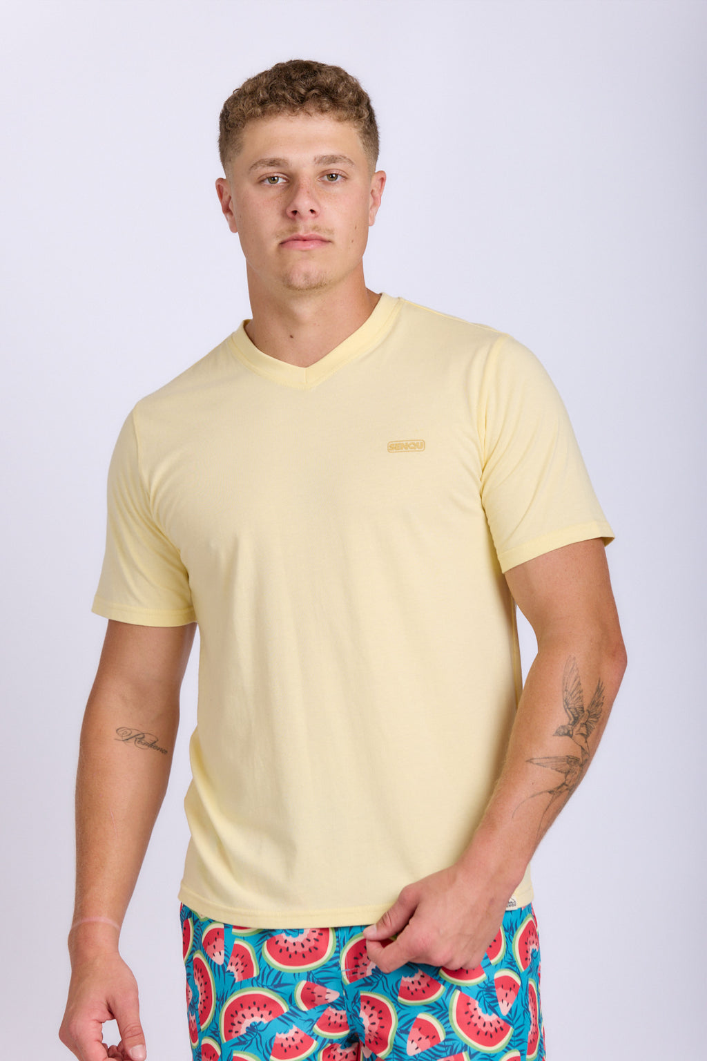 MENS V-NECK CORE TEE