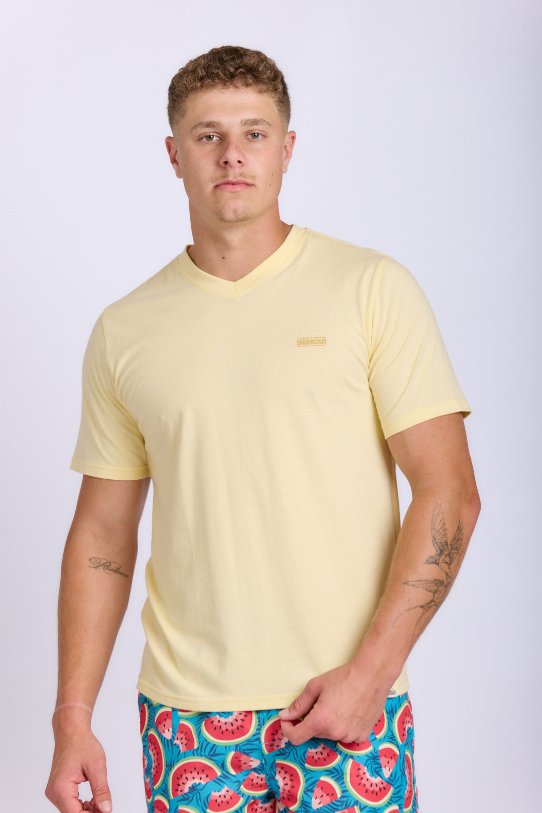 MENS V-NECK CORE TEE